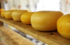 Какой сыр можно жарить на сковороде + 3 рецепта